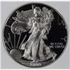 Image 1 : 2000-P AMERICAN SILVER EAGLE