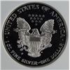 Image 2 : 2000-P AMERICAN SILVER EAGLE