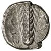Image 2 : LUCANIA: Anonymous, ca. 340-330 BC, AR stater (7.52g), Metapontion. F