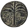 Image 1 : ANCIENT JUDEA: Bar Kochba Revolt, 132-135, AE 25 (8.26g). EF