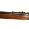 Image 4 : Winchester Model 71 .348 WCF SN: 30696