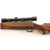 Image 2 : Winchester Model 70 .243 Win SN: 703870