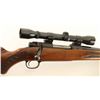 Image 3 : Winchester Model 70 .243 Win SN: 703870