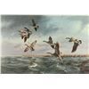 Image 1 : Limited Edition Fine Art Print