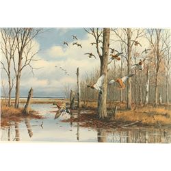 Limited Edition Fine Art Print
