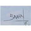 Image 2 : Original Oil on Canvas by Braun