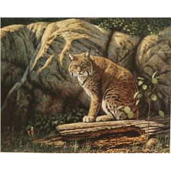 Fine Art Print