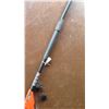 Image 3 : Pole Saw