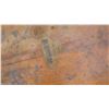 Image 2 : Santa Barbara Surf Shop Surfboard w/ 3 Fins