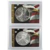 Image 1 : 1991 & 2007 .999 SILVER ONE OUNCE EAGLE