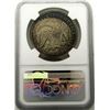 Image 4 : 1870 SEATED LIBERTY $ PROOF DETAILS
