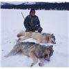Image 3 : 10 Day Wolf Hunt and Ice Fishing Trip