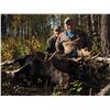 Image 1 : 6 Day Okanagan Shiras Moose Hunt
