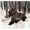 Image 2 : 6 Day Okanagan Shiras Moose Hunt
