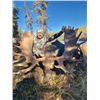 Image 1 : 10 Day Hunters Choice Elk, Goat or Moose Hunt