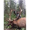 Image 3 : 10 Day Hunters Choice Elk, Goat or Moose Hunt