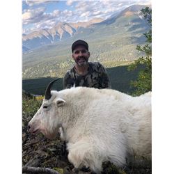 11 Day Northern BC Mountain Goat Hunt