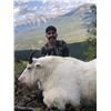 Image 1 : 11 Day Northern BC Mountain Goat Hunt