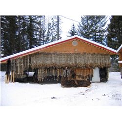 5 Day Predator Calling Trip