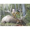 Image 5 : 5 Day Rocky Mountain Elk Hunt in Northern BC