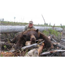 5 Day Spring Black Bear Hunt