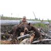 Image 1 : 5 Day Spring Black Bear Hunt