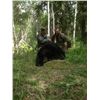 Image 3 : 5 Day Spring Black Bear Hunt