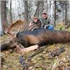 Image 1 : 6 Day Thompson Shiras Moose Hunt
