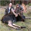 Image 2 : 6 Day Thompson Shiras Moose Hunt