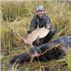 Image 3 : 6 Day Thompson Shiras Moose Hunt