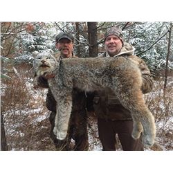 8 Day Winter Lynx Hunt