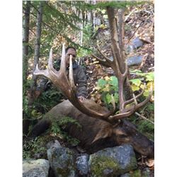 7 Day Rocky Mountain Elk Hunt in Southern BC