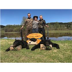 5 Day Spring Black Bear Hunt in the Omineca