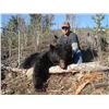 Image 3 : 5 Day Spring Black Bear Hunt in the Omineca