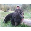 Image 1 : 5 Day Spring Coastal Black Bear Hunt