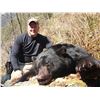Image 2 : 5 Day Spring Coastal Black Bear Hunt