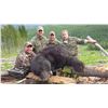 Image 3 : 5 Day Spring Coastal Black Bear Hunt