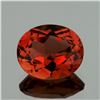 Image 1 : Natural  AAA Champagne Imperial Topaz 12x10 MM - FL