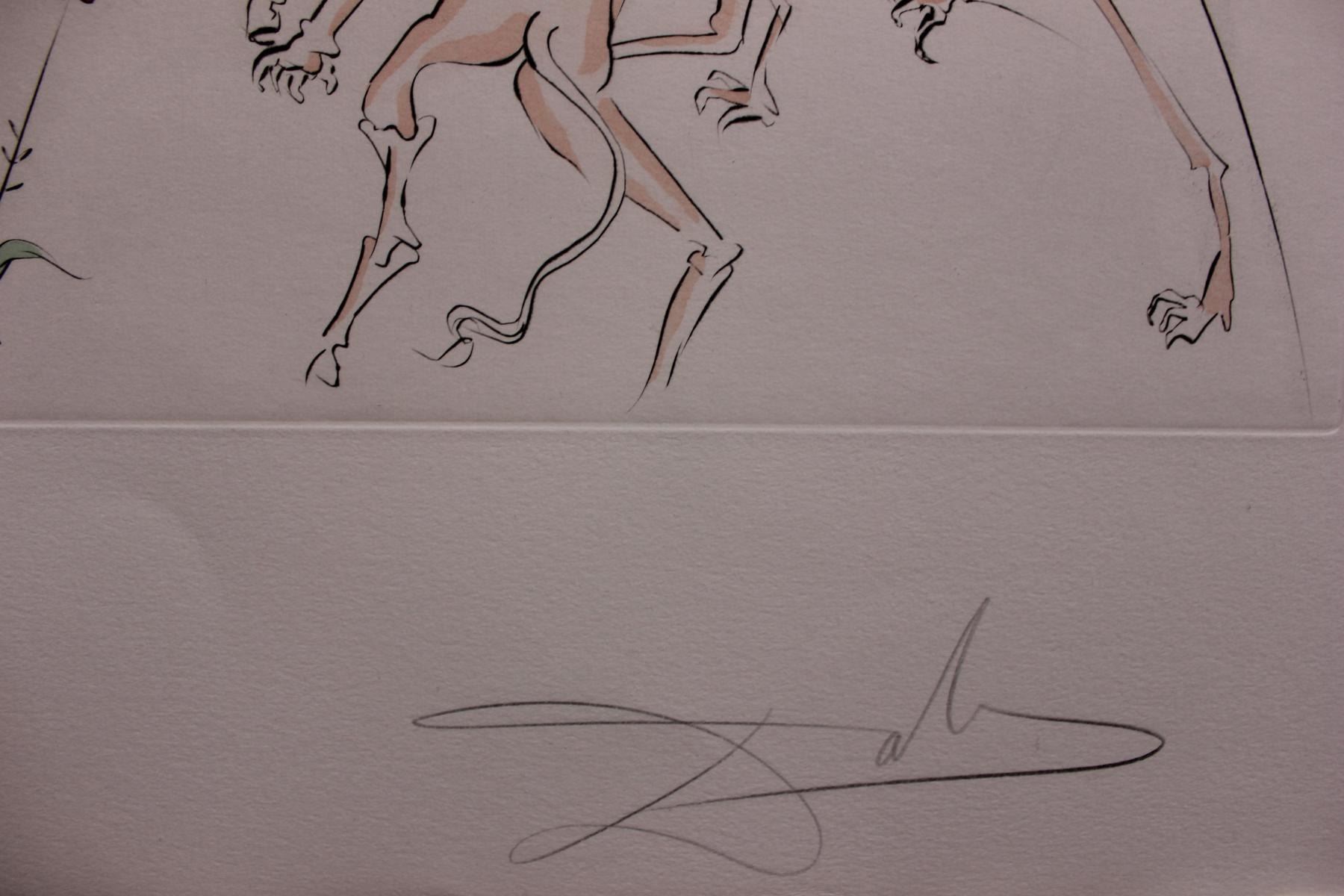 Salvador Dali Original Engravings With Color By Pochoir