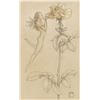 Image 1 : Michael Parkes "The Rose" Masterworks on Vellum