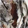 Image 2 : George Marlowe, "Textures 3.4" Hand Signed Fine Art Photography with Certificate of Authenticity