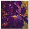 Image 1 : "Beautiful Dreamer" Limited Edition Giclee on Canvas by Simon Bull, Numbered and Signed with Certifi