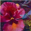 Image 2 : "Gratitude" Limited Edition Giclee on Canvas by Simon Bull, Numbered and Signed with Certificate of 