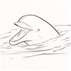 Image 2 : Wyland - "Dolphin" Framed Original Sketch, Hand Signed with Certificate of Authenticity.