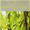 Image 2 : Liz Rider, "Aperture" Original Mixed Media Painting, Hand Signed with Letter of Authenticity.