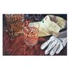 Image 1 : Nobu Haihara, "Country Club" Limited Edition Canvas, Signed and with COA.