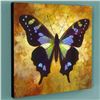 Image 3 : "Pandora" Limited Edition Giclee on Canvas by Simon Bull, Numbered and Signed with Certificate of Au