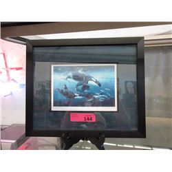 Bruce Muir Framed Orca Print