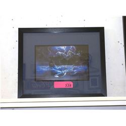 Ken Skoda Framed Orca Print