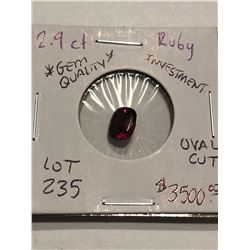 Extremely Rare 2.90 Carat Investment *GEM QUALITY* BLOOD RED RUBY Transparent